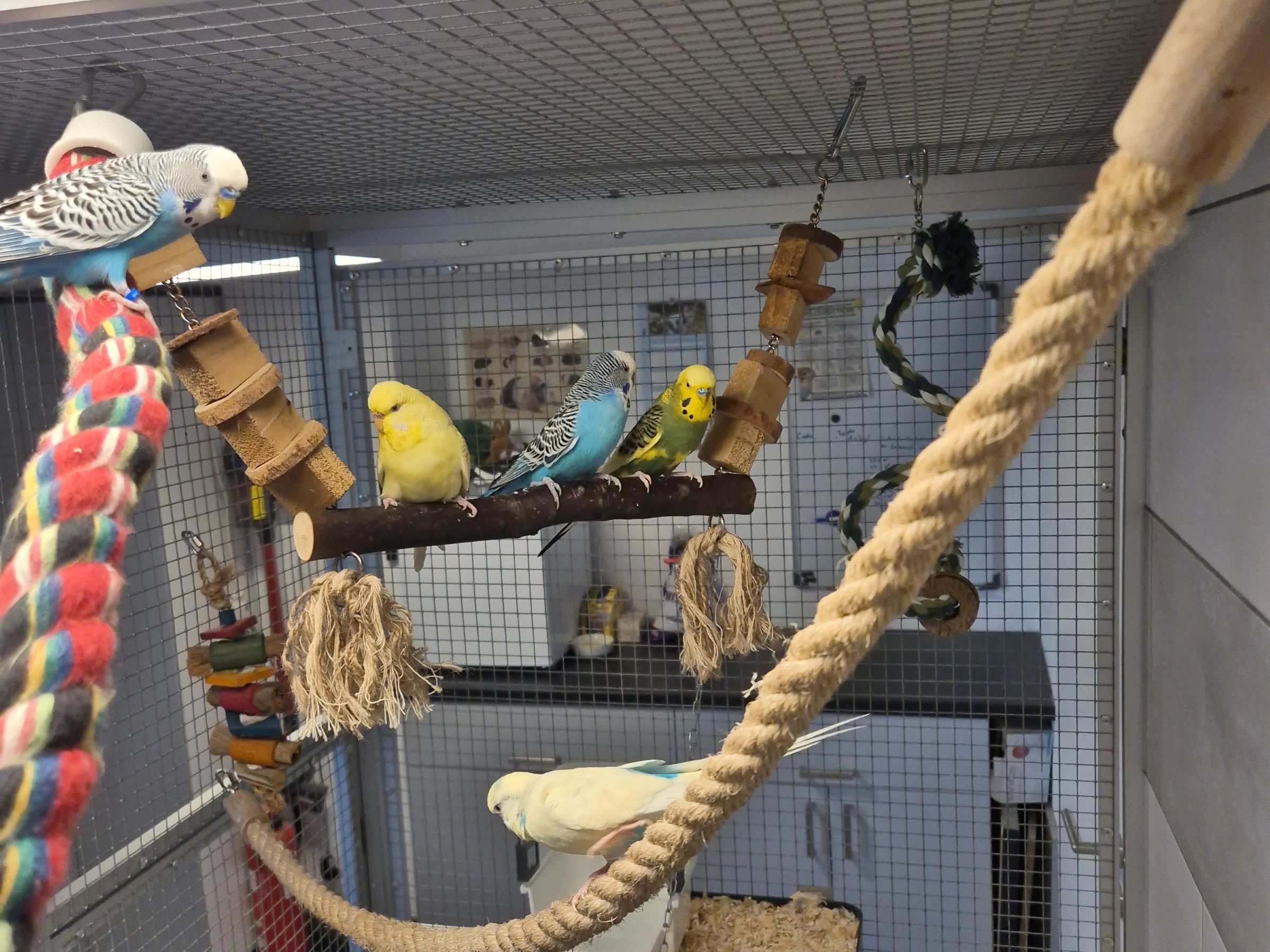 Gruppenbild 2.jpg